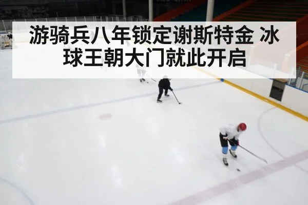 ice hockey game