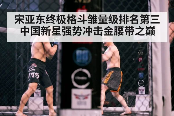UFC octagon cage